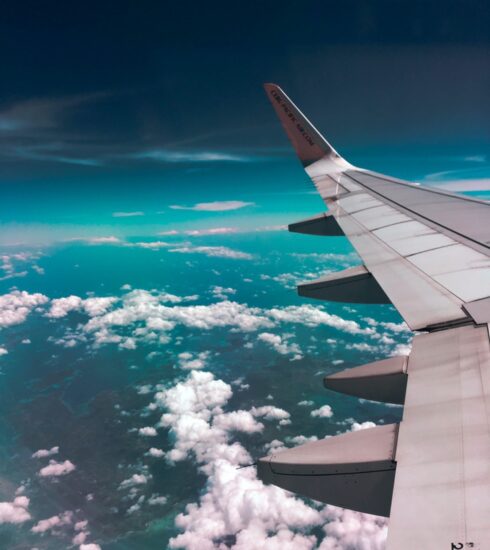 What foods you can take on the plane
